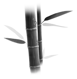 λǮ